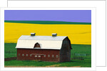 Rape Field and Barn by Anonymous