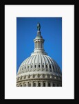 U.S. Capitol Dome by Anonymous