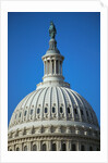 U.S. Capitol Dome by Anonymous