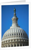 U.S. Capitol Dome by Anonymous