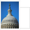 U.S. Capitol Dome by Anonymous