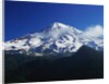 Mount Shasta by Anonymous