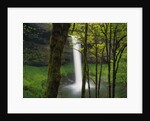 Waterfall Behind Trees by Anonymous
