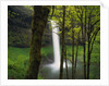 Waterfall Behind Trees by Anonymous