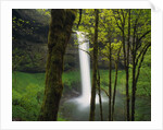 Waterfall Behind Trees by Anonymous