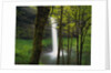 Waterfall Behind Trees by Anonymous