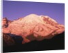 Snowcapped Mount Rainier with Twilight Glow by Anonymous
