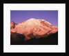 Snowcapped Mount Rainier with Twilight Glow by Anonymous