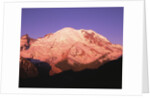Snowcapped Mount Rainier with Twilight Glow by Anonymous