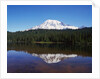 Lake Reflecting Mount Rainier by Anonymous
