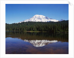 Lake Reflecting Mount Rainier by Anonymous