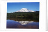 Lake Reflecting Mount Rainier by Anonymous