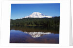 Lake Reflecting Mount Rainier by Anonymous