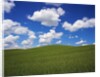 Field of Green under Scattered Clouds by Anonymous
