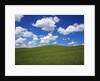Field of Green under Scattered Clouds by Anonymous