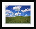 Field of Green under Scattered Clouds by Anonymous