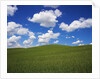 Field of Green under Scattered Clouds by Anonymous