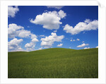 Field of Green under Scattered Clouds by Anonymous