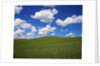 Field of Green under Scattered Clouds by Anonymous