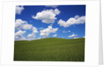 Field of Green under Scattered Clouds by Anonymous