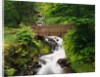 Bridge over Waterfall by Anonymous
