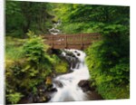 Bridge over Waterfall by Anonymous