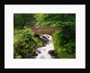 Bridge over Waterfall by Anonymous
