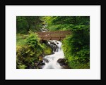 Bridge over Waterfall by Anonymous