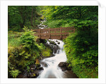 Bridge over Waterfall by Anonymous