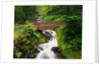 Bridge over Waterfall by Anonymous