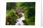 Bridge over Waterfall by Anonymous