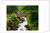 Bridge over Waterfall by Anonymous