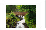 Bridge over Waterfall by Anonymous