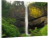 Latourell Falls by Anonymous