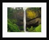 Latourell Falls by Anonymous