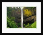Latourell Falls by Anonymous