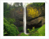 Latourell Falls by Anonymous