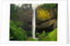 Latourell Falls by Anonymous