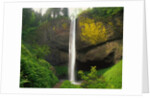 Latourell Falls by Anonymous