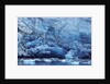 Ice Breaking off Glacier by Anonymous