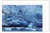 Ice Breaking off Glacier by Anonymous