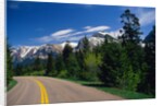 Road Through Glacier National Park by Anonymous
