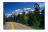 Road Through Glacier National Park by Anonymous