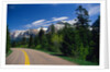 Road Through Glacier National Park by Anonymous