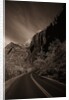 A Road in Zion National Park by Anonymous