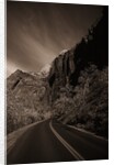 A Road in Zion National Park by Anonymous