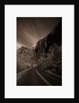 A Road in Zion National Park by Anonymous