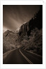 A Road in Zion National Park by Anonymous