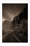 A Road in Zion National Park by Anonymous