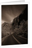 A Road in Zion National Park by Anonymous